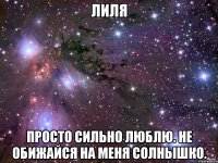 Лиля Просто сильно люблю. Не обижайся на меня солнышко.