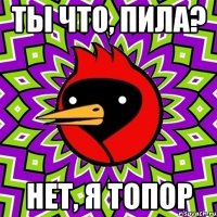 Ты что, пила? Нет, я топор