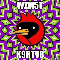 WZM5T K9RTvb