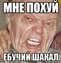 МНЕ ПОХУЙ ЕБУЧИЙ ШАКАЛ