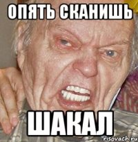 опять сканишь шакал