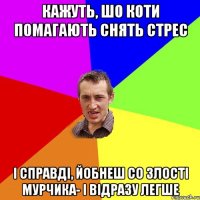 Кажуть, шо коти помагають снять стрес І справді, йобнеш со злості мурчика- і відразу легше