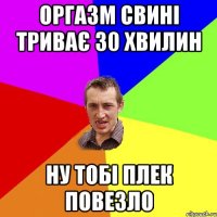 Оргазм свині триває 30 хвилин ну тобі Плек повезло