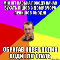 Мій кіт Васька походу начав бухать пішов з дому вчора прийшов сьодні обригав ковер попив води і ліг спать