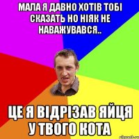 Мала я давно хотів тобі сказать но ніяк не наважувався.. це я відрізав яйця у твого кота