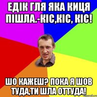 Едік гля яка киця пішла.-Кіс,кіс, кіс! Шо кажеш? Пока я шов туда,ти шла оттуда!