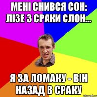 Мені снився сон: лізе з сраки слон... Я за ломаку - він назад в сраку