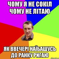 Чому я не сокіл чому не літаю як ввечері наїбашусь до ранку ригаю