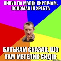 Кинув по малій кирпічом, поломав їй хребта батькам сказав, шо там метелик сидів