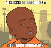 меня никто не понимает кто такой понимаю ?