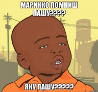 маринко помниш пашу???? яку пашу?????