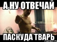 а ну отвечай паскуда тварь