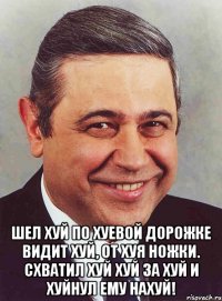  Шел хуй по хуевой дорожке Видит хуй, от хуя ножки. Схватил хуй хуй за хуй И хуйнул ему нахуй!