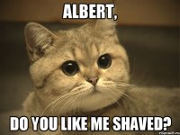 Albert, Do you like me shaved?