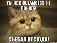 Ты че ска, lamoz69, не понял? Съебал отсюда!