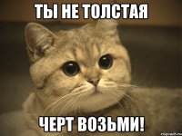 Ты не толстая ЧЕРТ ВОЗЬМИ!