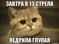 завтра в 13 стрела педрила глупая