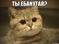 Ты ебанутая? 