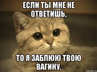 Если ты мне не ответишь, То я заблюю твою вагину.