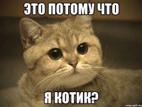 Это потому что Я котик?