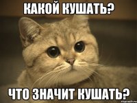 Какой кушать? Что значит кушать?