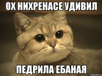 ох нихренасе удивил педрила ебаная