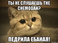 ТЫ не слушаешь the chemodan? педрила ебаная!