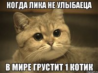 Когда лика не улыбаеца в мире грустит 1 котик