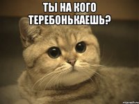 Ты на кого Теребонькаешь? 