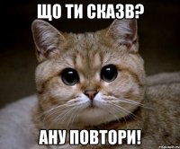 Що ти сказв? Ану повтори!