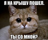 я на крышу пошел. ты со мной?