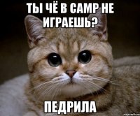 Ты чё в CAMP не играешь? Педрила