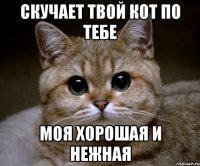 Скучает твой Кот по тебе Моя хорошая и нежная