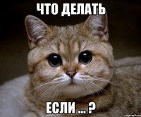 Что делать если ... ?