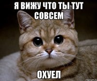 я вижу что ты тут совсем охуел