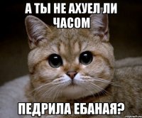 а ты не ахуел ли часом педрила ебаная?