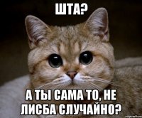 Шта? А ты сама то, не лисба случайно?