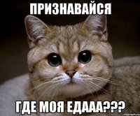 признавайся где моя едааа???