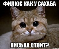 Филюс как у Сахаба Писька стоит?