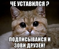 Че уставился ? Подписывайся и зови друзей!