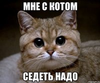 Мне с котом седеть надо