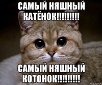 самый няшный катёнок!!!!!!!!! самый няшный котонок!!!!!!!!!