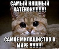 самый няшный катёнок!!!!!!!!! самое милашиство в мире !!!!!!!!!