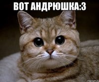 Вот Андрюшка:3 