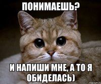 понимаешь? и напиши мне, а то я обиделась)