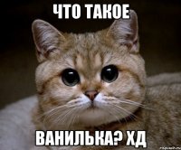 что такое ванилька? хд