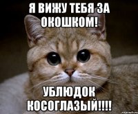 Я вижу тебя за окошком! Ублюдок косоглазый!!!!