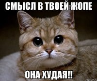 Смысл в твоей жопе Она худая!!