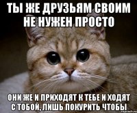 Ты же друзьям своим не нужен просто Они же и приходят к тебе и ходят с тобой, лишь покурить чтобы