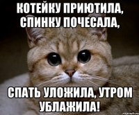 Котейку приютила, спинку почесала, спать уложила, утром ублажила!